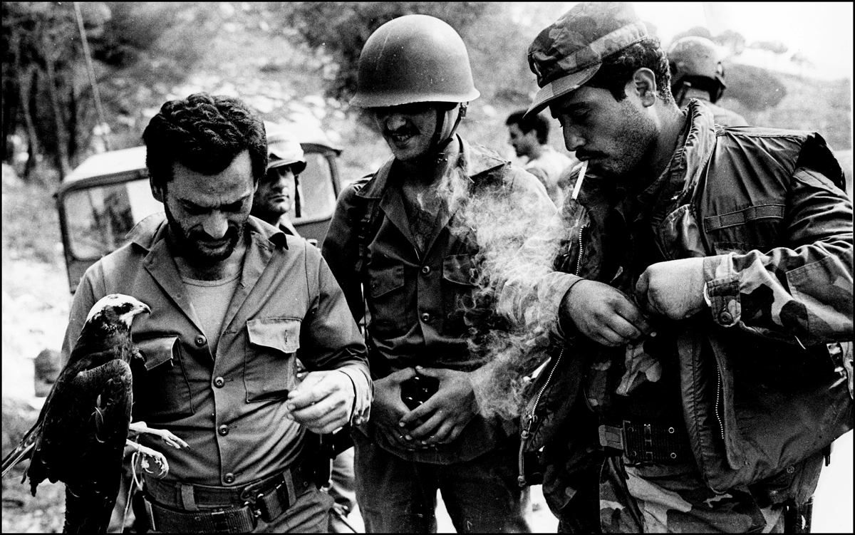 Lebanese army soldiers seen with their pet hawk. Chouf mountains 1983. : Lebanon 1981-2008 : BILL FOLEY 