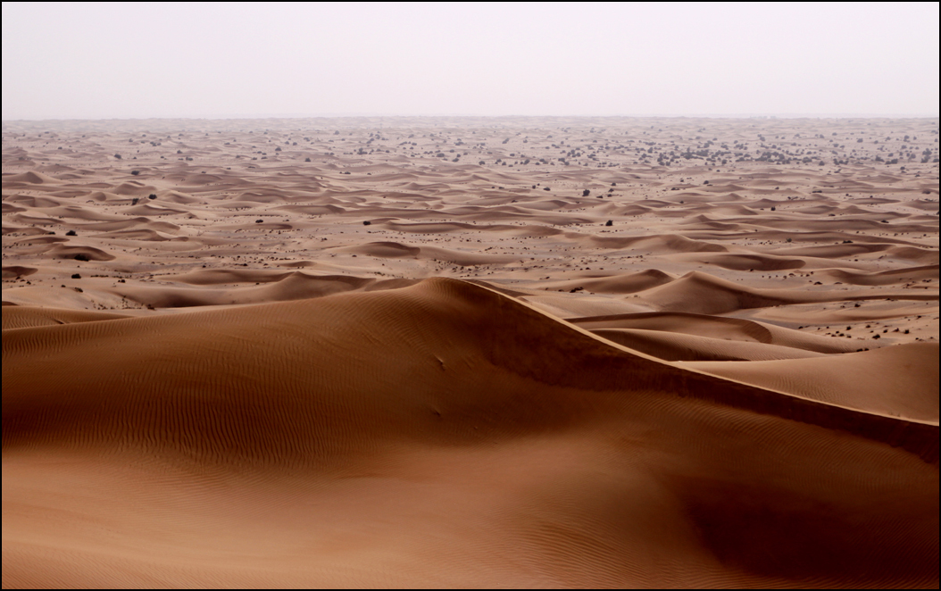  : Dubai Desert : BILL FOLEY 