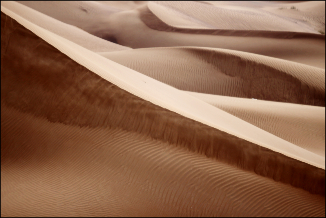  : Dubai Desert : BILL FOLEY 