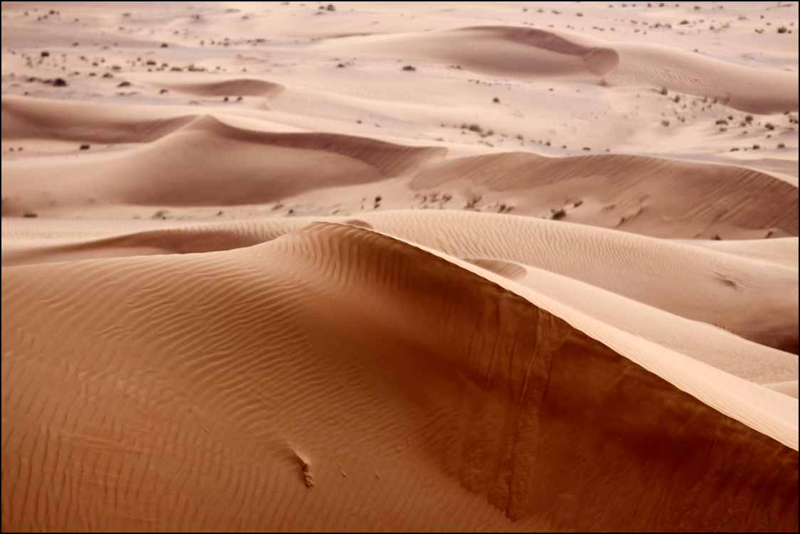  : Dubai Desert : BILL FOLEY 