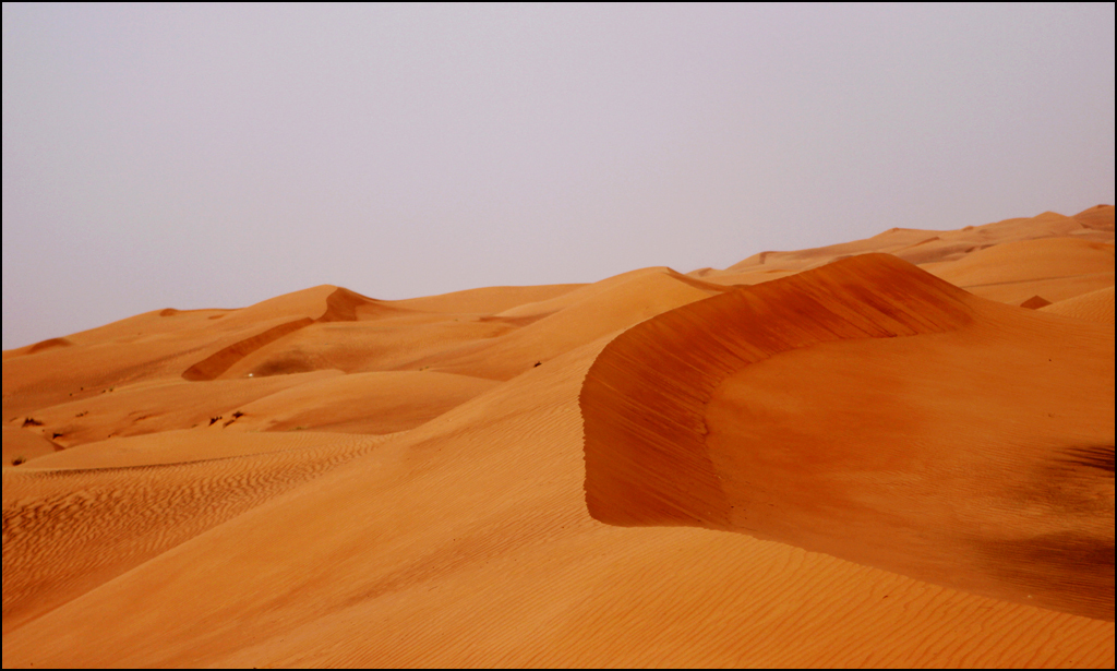  : Dubai Desert : BILL FOLEY 