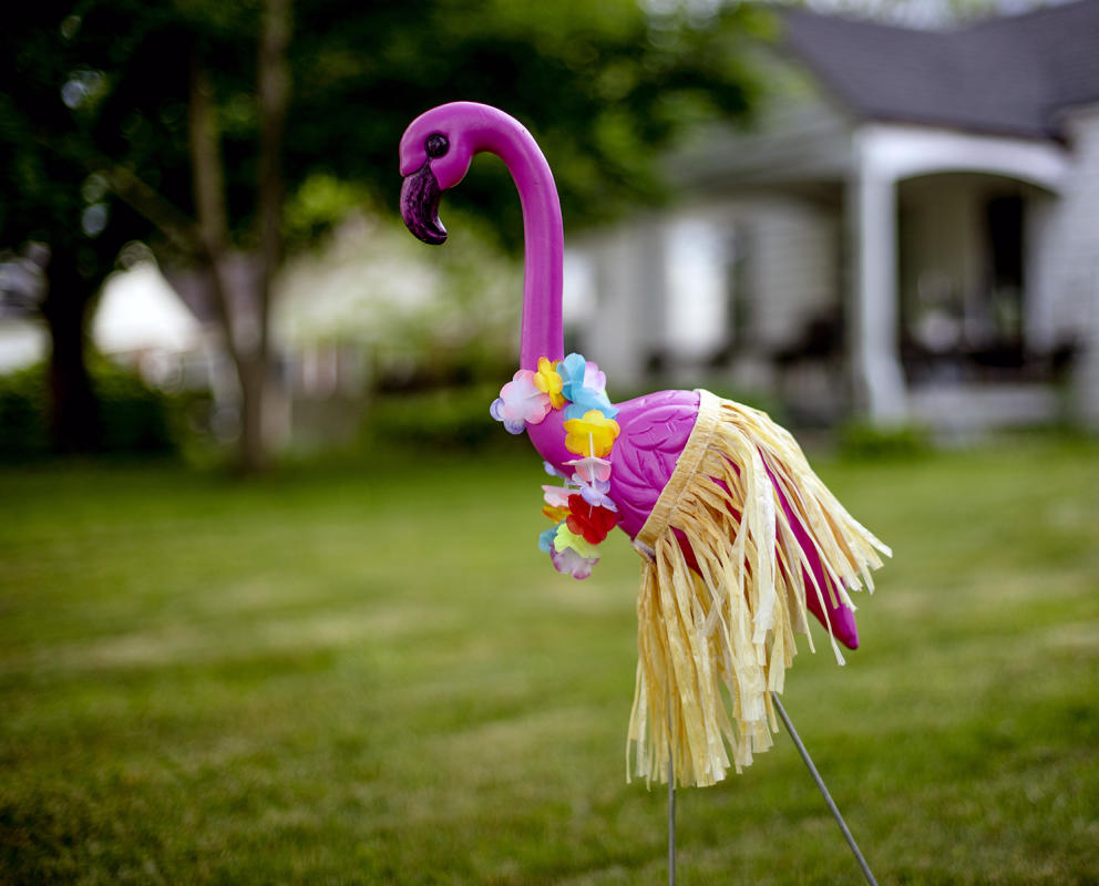 Well dressed pink flamingo brightens up a front yard. : Observations in a Pandemic 2020-2021 : BILL FOLEY 