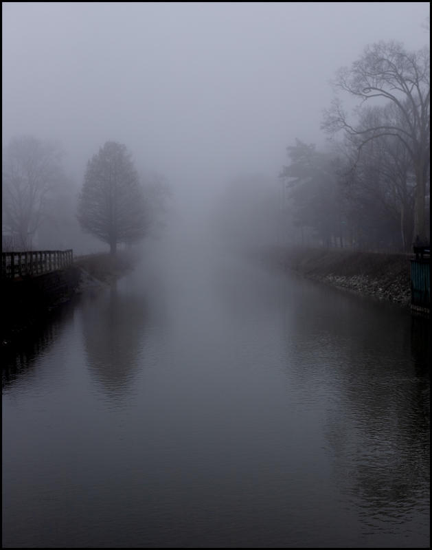 Fog blankets the Canal.     : Observations in a Pandemic 2020-2021 : BILL FOLEY 