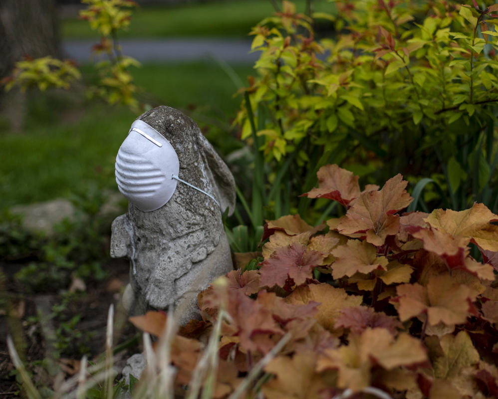 Stone Garden Rabbit wears surgical mask, one can't be too carful. 2020. : Portraits in a Pandemic-Masks on! : BILL FOLEY 