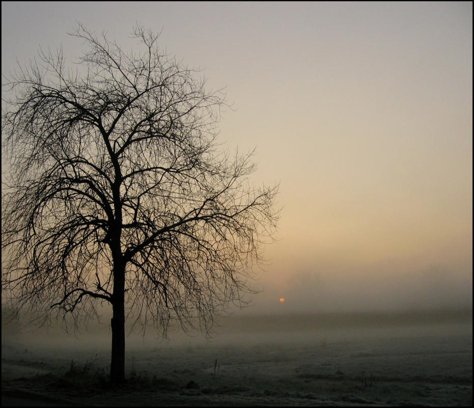 Sunrise Indianapolis 2015 : Postcards : BILL FOLEY 