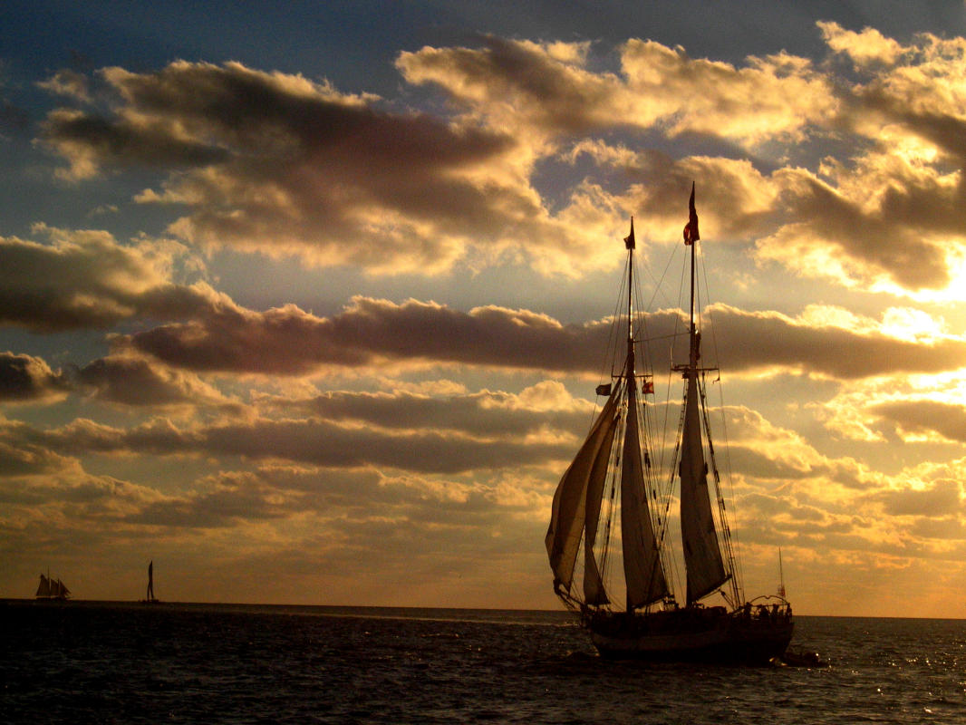 Sailboats off Key West Florida : Postcards : BILL FOLEY 